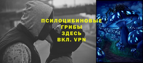 соль курить ск Алексеевка